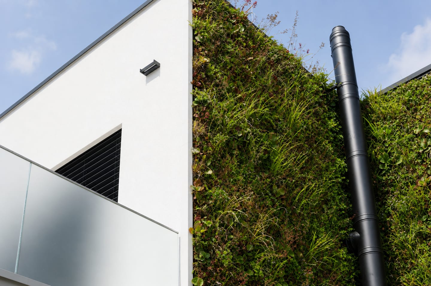Detail of a completed home with a living green wall